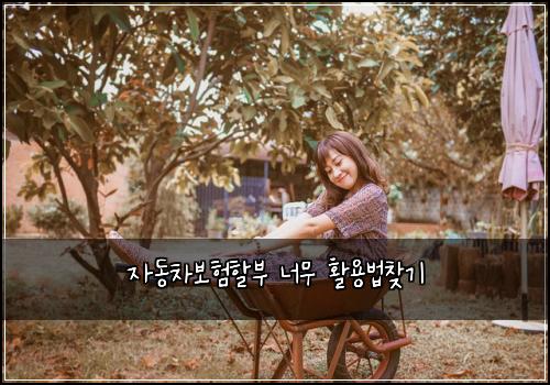 ์๋์ฐจ๋ณดํํ ๋ถ ๋๋ฌด ํ์ฉ๋ฒ์ฐพ๊ธฐ