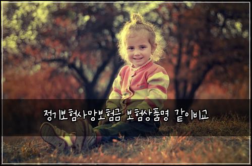 정기보험사망보험금 보험상품명 같이비교