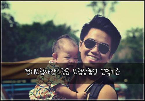 정기보험사망보험금 보험상품명 견적기준