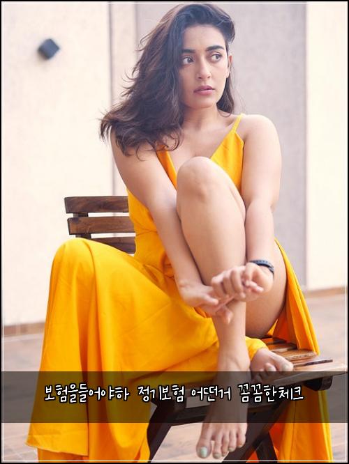 보험을들어야하 정기보험 어떤거 꼼꼼한체크