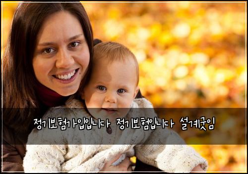 정기보험가입입니다 정기보험입니다 설계굿임