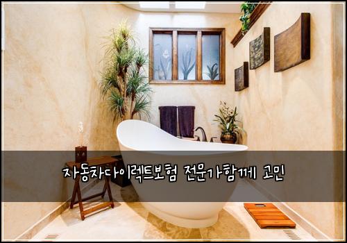 자동차다이렉트보험 전문가함께  고민