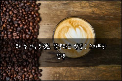 차 두 대, 보험료 절약하는 방법 : 스마트한 선택