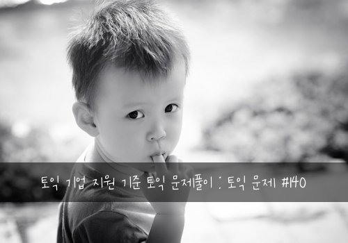 토익 기업 지원 기준 토익 문제풀이 : 토익 문제 #140