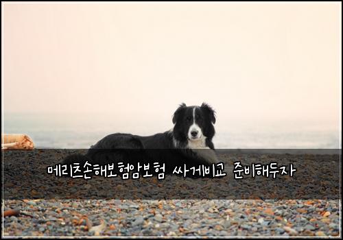 메리츠손해보험암보험 싸게비교 준비해두자