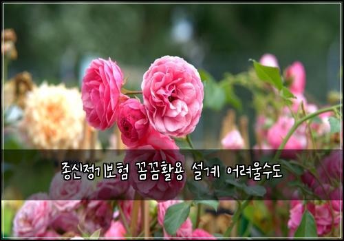 ์ข
์ ์ ๊ธฐ๋ณดํ ๊ผผ๊ผผํ์ฉ ์ค๊ณ ์ด๋ ค์ธ์๋