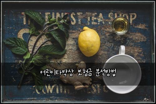 어린이타박상 보험금 분석방법