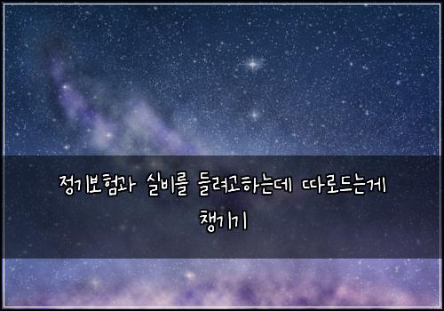 정기보험과 실비를 들려고하는데 따로드는게 챙기기