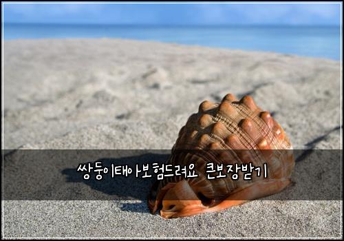 쌍둥이태아보험드려요 큰보장받기