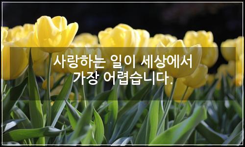 오늘의 이미지