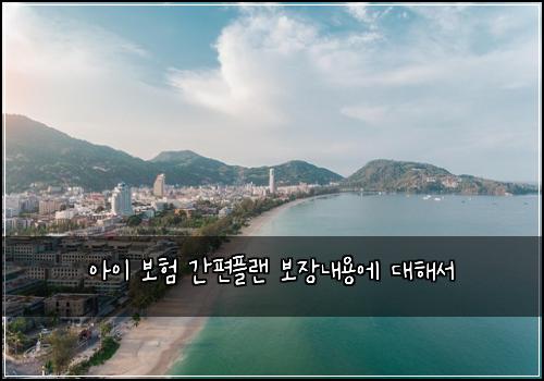 아이 보험 간편플랜  보장내용에 대해서