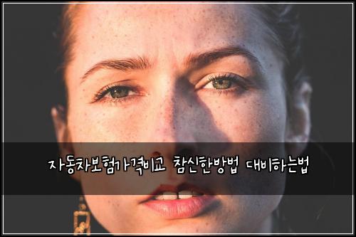 자동차보험가격비교 참신한방법 대비하는법