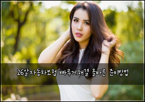 26살자동차보험 빠루게해결  올바른 준비방법