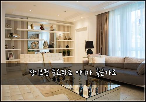정기보험 중요하죠  어디가 좋은가요