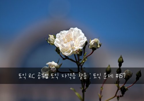 토익 RC 공부법 토익 자격증 활용 : 토익 문제 #157