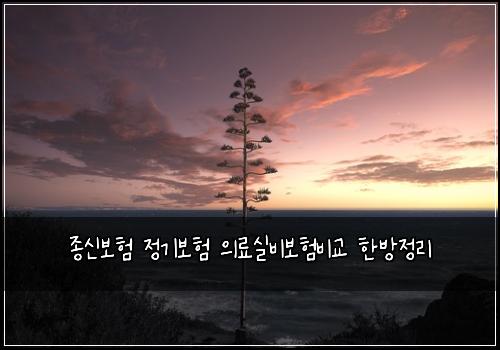 종신보험 정기보험 의료실비보험비교 한방정리