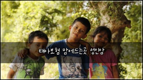 태아보험 맘에드는곳  성인암