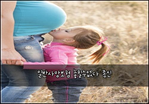 일반사망보험 놓칠수없다  종신