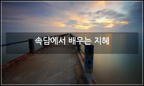 오늘의 이미지