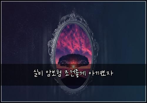 실비 암보험 조건좋게  아껴보자