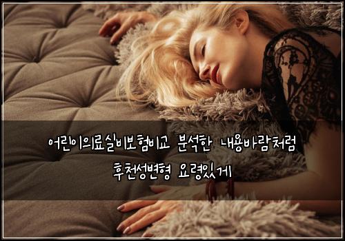 어린이의료실비보험비교 분석한 내용바람처럼 후천성변형 요령있게