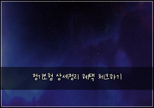 정기보험 상세정리  혜택 체크하기