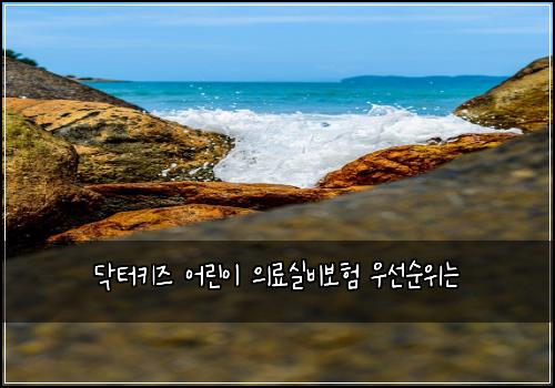 ๋ฅํฐํค์ฆ ์ด๋ฆฐ์ด ์๋ฃ์ค๋น๋ณดํ ์ฐ์ ์์๋