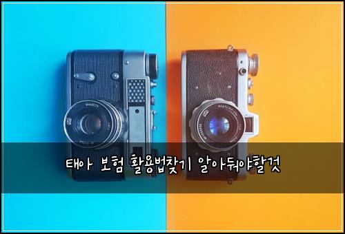 태아 보험 활용법찾기  알아둬야할것