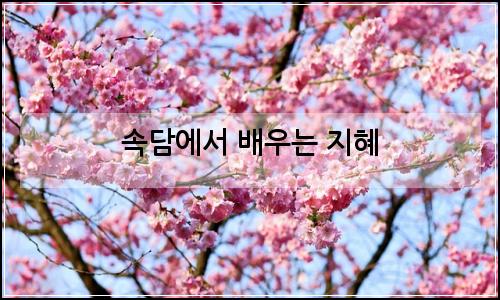 오늘의 이미지