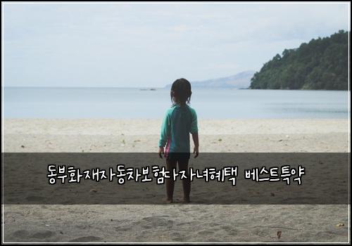 동부화재자동차보험다자녀혜택 베스트특약