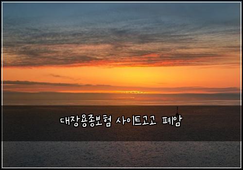 대장용종보험 사이트고고  폐암