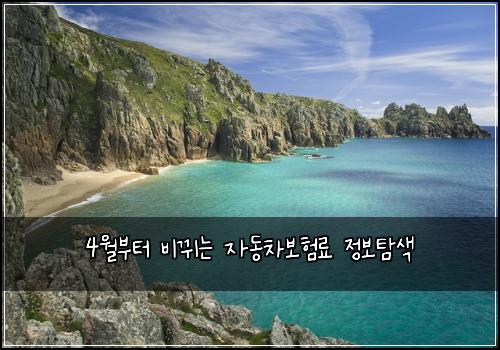 4월부터 비뀌는 자동차보험료 정보탐색