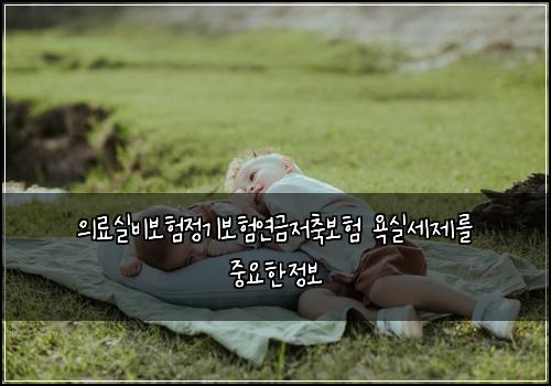 의료실비보험정기보험연금저축보험 욕실세제를 중요한정보