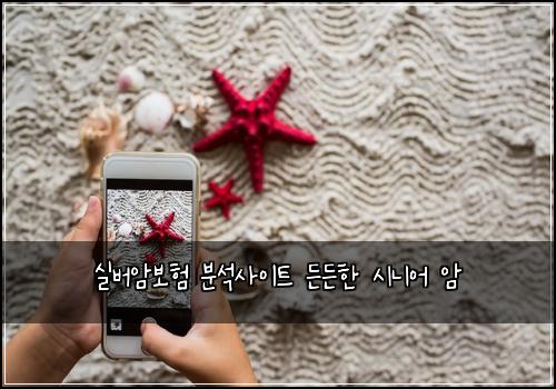 실버암보험 분석사이트  든든한 시니어 암