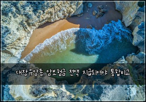 대장유암종 암보험금 전액 지급되어야 통합비교