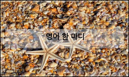 오늘의 이미지