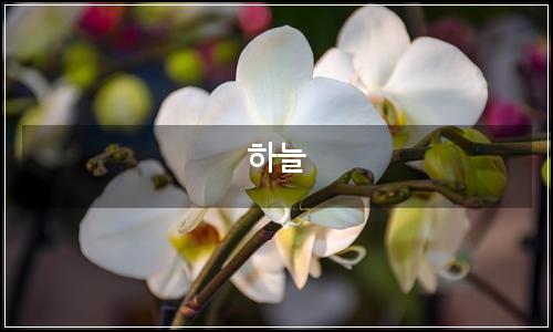 오늘의 이미지