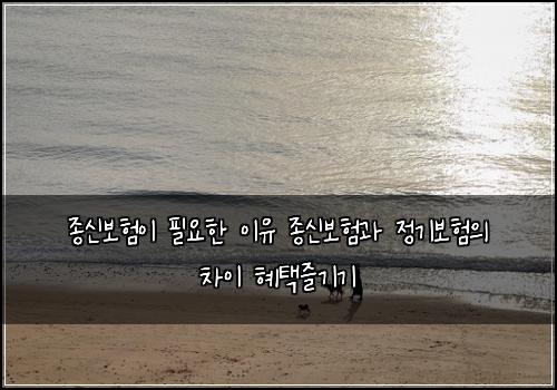 종신보험이 필요한 이유 종신보험과 정기보험의 차이 혜택즐기기