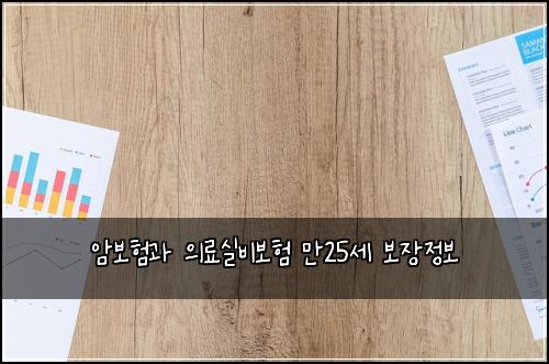 암보험과 의료실비보험 만25세 보장정보