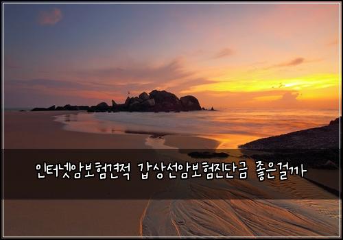 인터넷암보험견적 갑상선암보험진단금 좋은걸까
