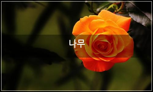 오늘의 이미지