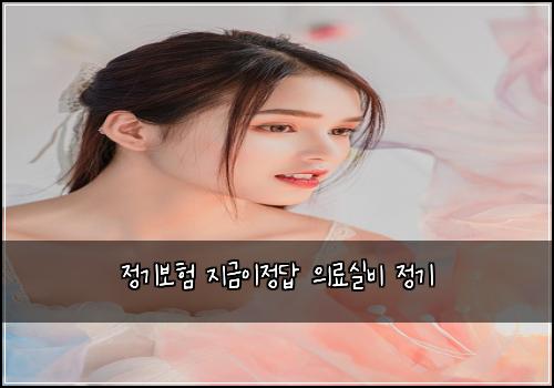 정기보험 지금이정답  의료실비 정기