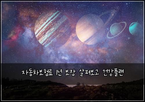 자동차보험료 1년 보장 살펴보고 건강플랜