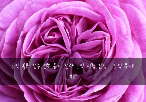 토익 목표 점수 변동 유지 전략 토익 시험 긴장 : 토익 문제 #119