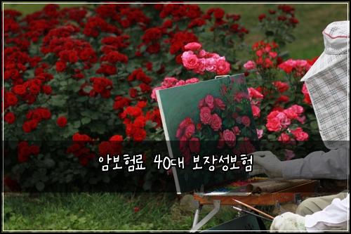 암보험료 40대 보장성보험