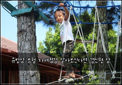 유방암 보험 자세점검  알아보신다면 갱신형 암