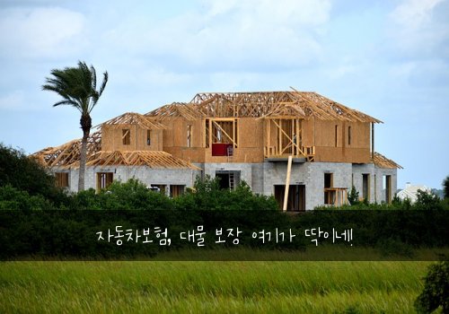 자동차보험, 대물 보장 여기가 딱이네!