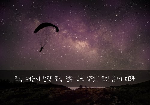 토익 재응시 전략 토익 점수 목표 설정 : 토익 문제 #134