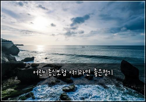 어린이종신보험 여기라면  좋은정기