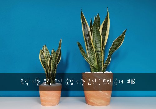 토익 기출 분석 토익 문법 기출 분석 : 토익 문제 #118